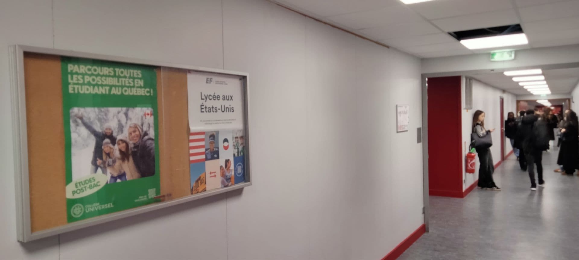 Affiche en vitrine étude à l'étranger